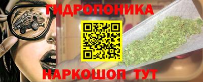 гашик Кимры
