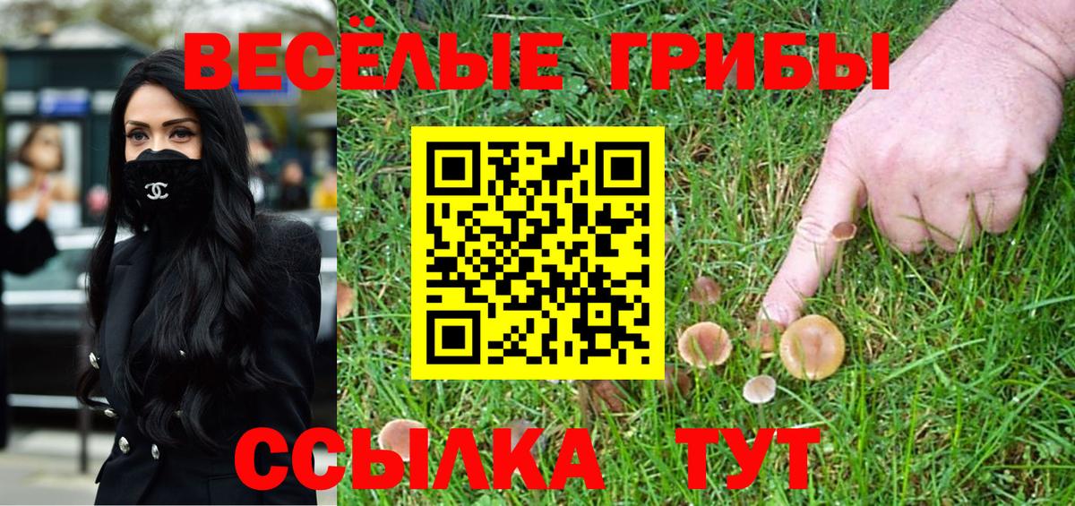 Конаково  Галлюциногенные грибы Psilocybe  Вход с VPN  Галлюциногенные грибы ЛСД 